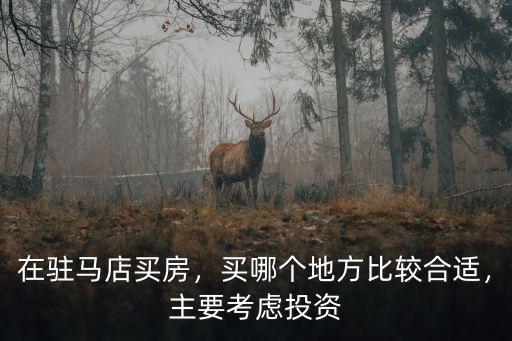 在駐馬店買房，買哪個地方比較合適，主要考慮投資