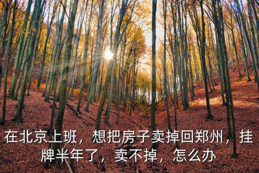 在北京上班，想把房子賣掉回鄭州，掛牌半年了，賣不掉，怎么辦