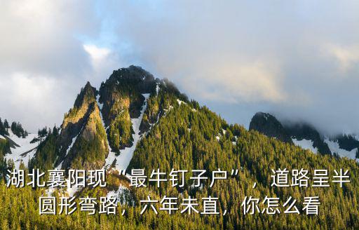 湖北最牛釘子戶現在怎么樣了,國內最牛釘子戶是哪個