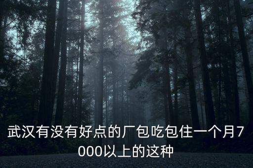 武漢有沒有好點(diǎn)的廠包吃包住一個月7000以上的這種