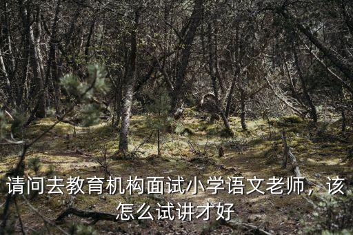 請問去教育機構(gòu)面試小學(xué)語文老師，該怎么試講才好