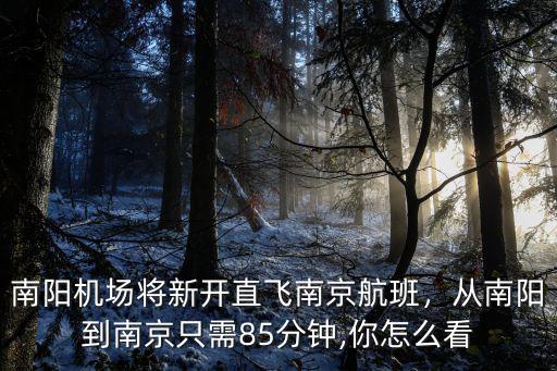 南陽機場將新開直飛南京航班，從南陽到南京只需85分鐘,你怎么看