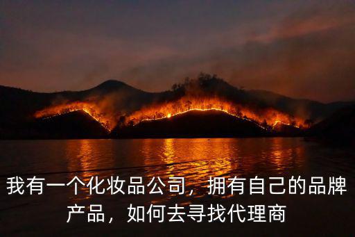 我有一個(gè)化妝品公司，擁有自己的品牌產(chǎn)品，如何去尋找代理商