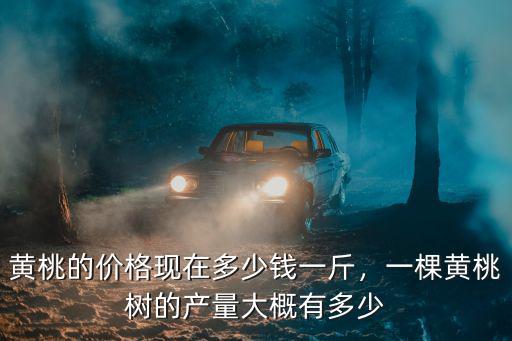 信陽黃桃批發多少錢一斤,黃桃的價格現在多少錢一斤