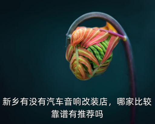 新鄉有沒有汽車音響改裝店，哪家比較靠譜有推薦嗎
