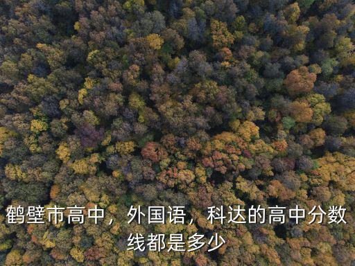鶴壁市高中，外國語，科達的高中分數線都是多少