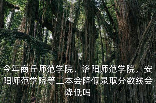 安陽師范學院高費生是怎么回事,安陽師范學院怎么樣