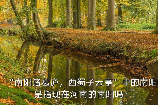 “南陽諸葛廬，西蜀子云亭”中的南陽是指現在河南的南陽嗎