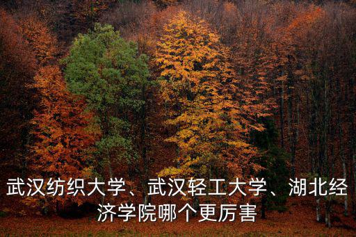 武漢紡織大學、武漢輕工大學、湖北經濟學院哪個更厲害