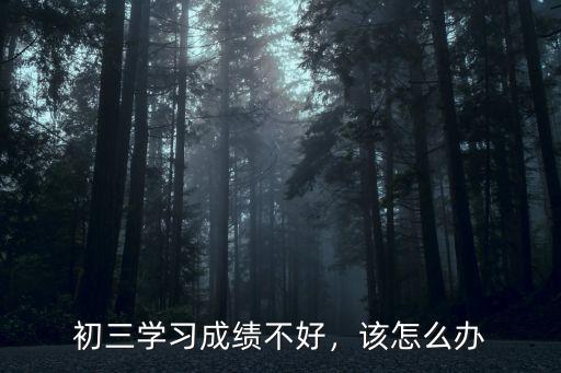 初三學(xué)習(xí)成績不好，該怎么辦