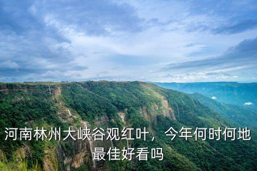 河南林州大峽谷觀紅葉，今年何時何地最佳好看嗎