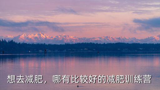 想去減肥，哪有比較好的減肥訓(xùn)練營