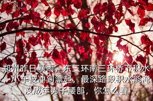 鄭州昨日暴雨，東三環南三環橋下積水，小車被沖到漂起，最深路段積水能淹沒成年男子腰部，你怎么看