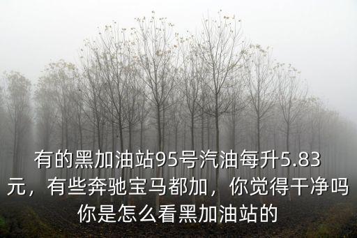 有的黑加油站95號汽油每升5.83元，有些奔馳寶馬都加，你覺得干凈嗎你是怎么看黑加油站的