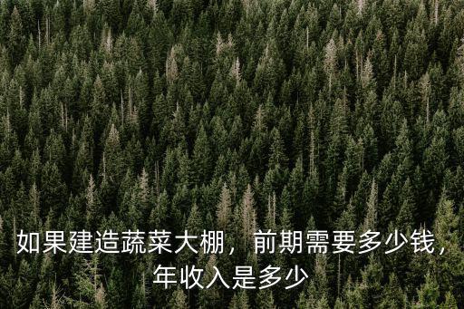河南鋼架蔬菜大棚多少錢,如果建造蔬菜大棚