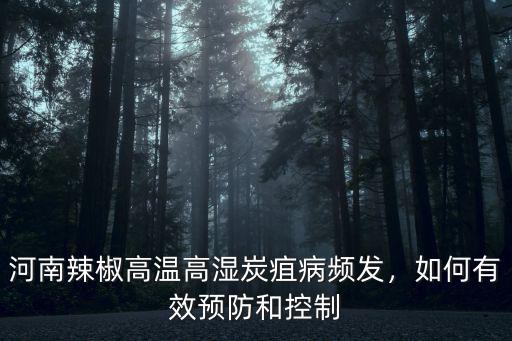 河南辣椒高溫高濕炭疽病頻發(fā)，如何有效預(yù)防和控制