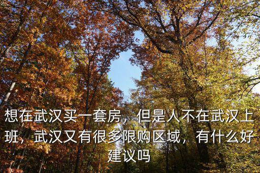 想在武漢買一套房，但是人不在武漢上班，武漢又有很多限購(gòu)區(qū)域，有什么好建議嗎