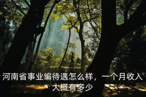 河南省事業編待遇怎么樣，一個月收入大概有多少