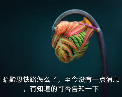 恩施到黔江的鐵路修的怎么樣了,赫章縣有通鐵路的規(guī)劃嗎