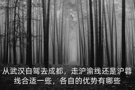 從武漢自駕去成都，走滬渝線還是滬蓉線合適一些，各自的優(yōu)勢有哪些