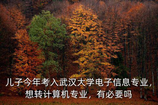 武漢大學今宵專業不好怎么轉專業,如果轉專業轉到什么專業好