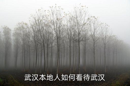 武漢本地人如何看待武漢