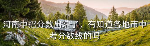 河南中招分數出爐了，有知道各地市中考分數線的嗎