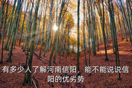 有多少人了解河南信陽，能不能說說信陽的優劣勢