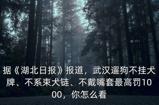 據《湖北日報》報道，武漢遛狗不掛犬牌、不系束犬鏈、不戴嘴套最高罰1000，你怎么看