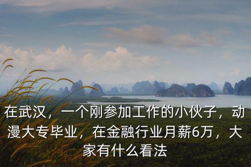 在武漢，一個剛參加工作的小伙子，動漫大專畢業(yè)，在金融行業(yè)月薪6萬，大家有什么看法