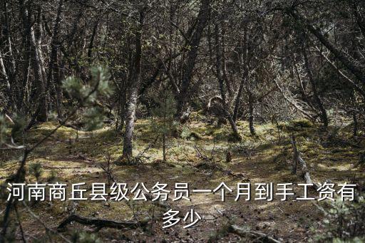 河南商丘縣級公務(wù)員一個月到手工資有多少