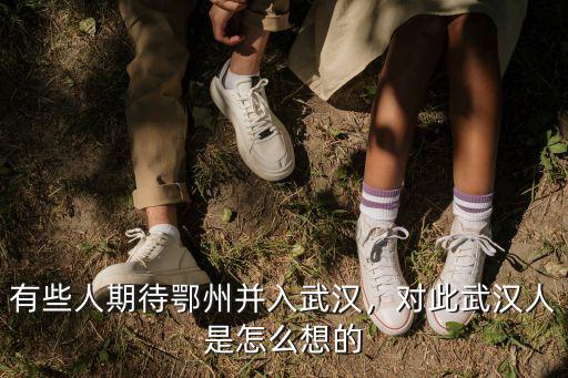 有些人期待鄂州并入武漢，對此武漢人是怎么想的