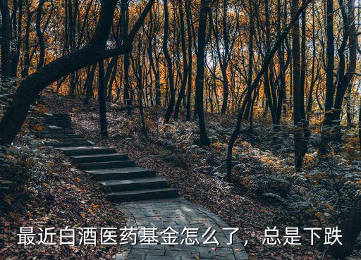 十堰白酒基金怎么,最近白酒醫藥基金怎么了
