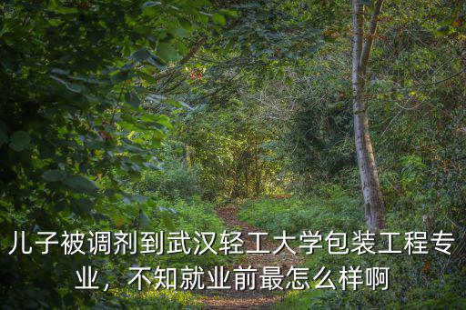 武漢輕工大學專升本怎么樣,湖北的武漢輕工大學怎么樣