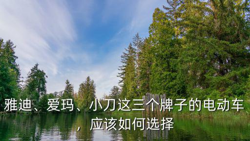 雅迪、愛瑪、小刀這三個牌子的電動車，應該如何選擇