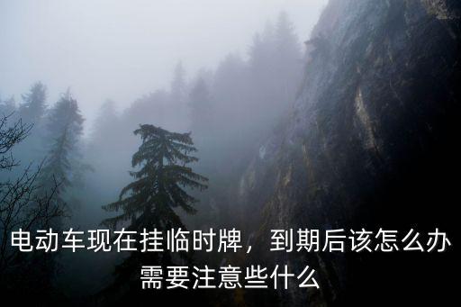 鄭州電動車臨時牌照到期怎么辦,到期后該怎么辦
