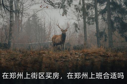 在鄭州上街區買房，在鄭州上班合適嗎