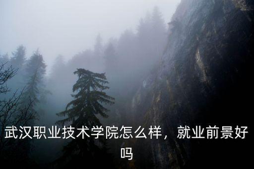 武漢職業技術學院怎么樣，就業前景好嗎