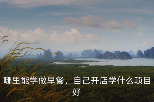 哪里能學(xué)做早餐，自己開店學(xué)什么項(xiàng)目好