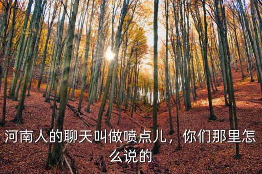 河南人的聊天叫做噴點兒，你們那里怎么說的