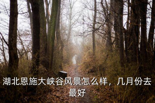恩施怎么去鹿院坪,恩施的鹿院坪怎么樣