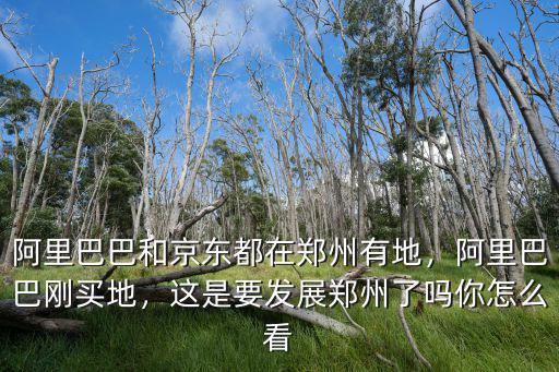 鄭州阿里巴巴在哪里啊,阿里巴巴和京東都在鄭州有地