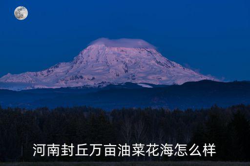 河南封丘萬畝油菜花海怎么樣