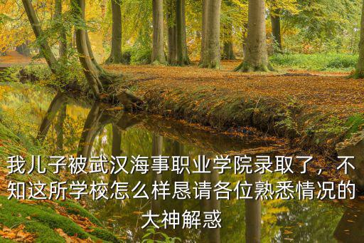 武漢航海工程職業學院好不好 怎么樣,武漢城市職業技術學院怎么樣