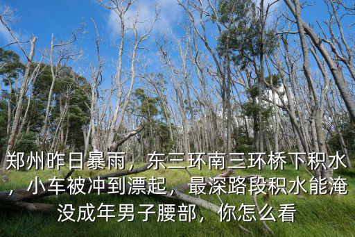 鄭州昨日暴雨，東三環南三環橋下積水，小車被沖到漂起，最深路段積水能淹沒成年男子腰部，你怎么看
