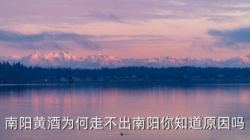 南陽黃酒為何走不出南陽你知道原因嗎