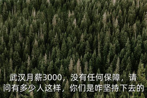 武漢月薪3000，沒有任何保障，請問有多少人這樣，你們是咋堅持下去的
