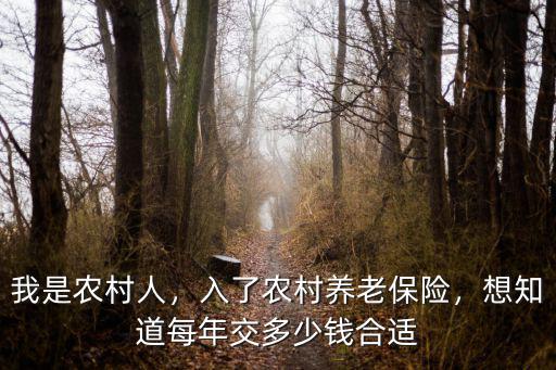 我是農村人，入了農村養老保險，想知道每年交多少錢合適