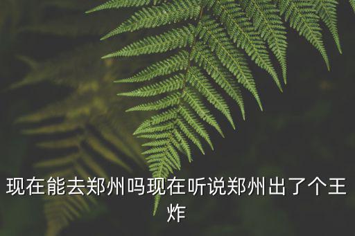 鄭州王炸現在怎么處理了,現在聽說鄭州出了個王炸
