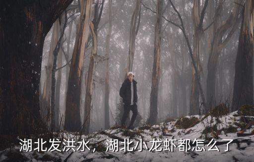 湖北發洪水，湖北小龍蝦都怎么了